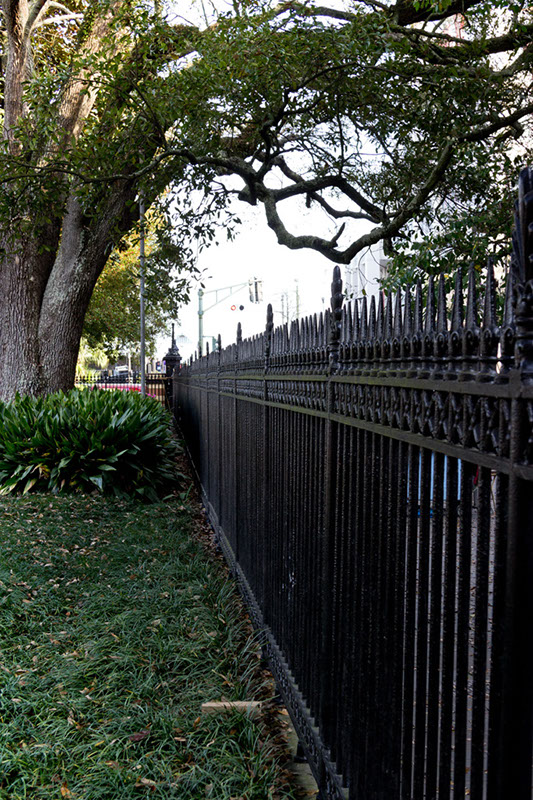 NOLA_march15_4675x