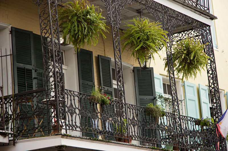 NOLA_march15_4705x