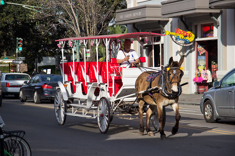 NOLA_march15_4719x