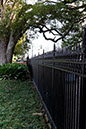 NOLA_march15_4675x