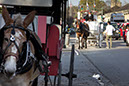 NOLA_march15_4732_cropx