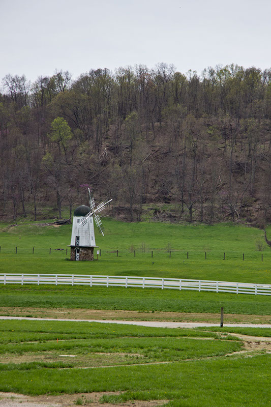 Evans_farm_5542_cropx