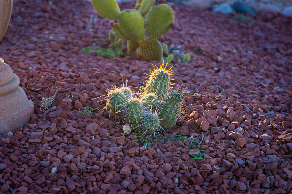 clarkdale_2372x