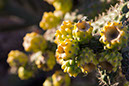 clarkdale_2364x