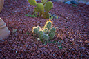 clarkdale_2372x