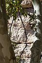 montezuma_-castle_2484x