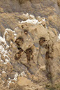 montezuma_-castle_2467x
