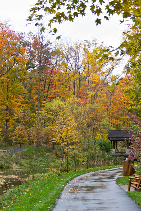 hill_and_dale_1667x