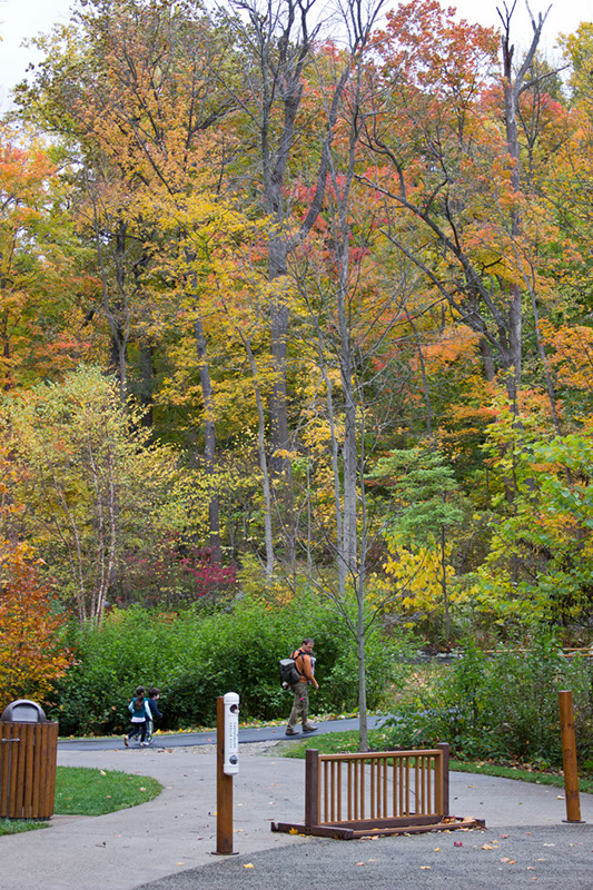 hill_and_dale_1632x