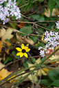hill_and_dale_1673x