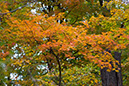 hill_and_dale_1646x