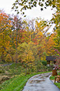 hill_and_dale_1667x